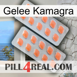 Jelly Kamagra 27